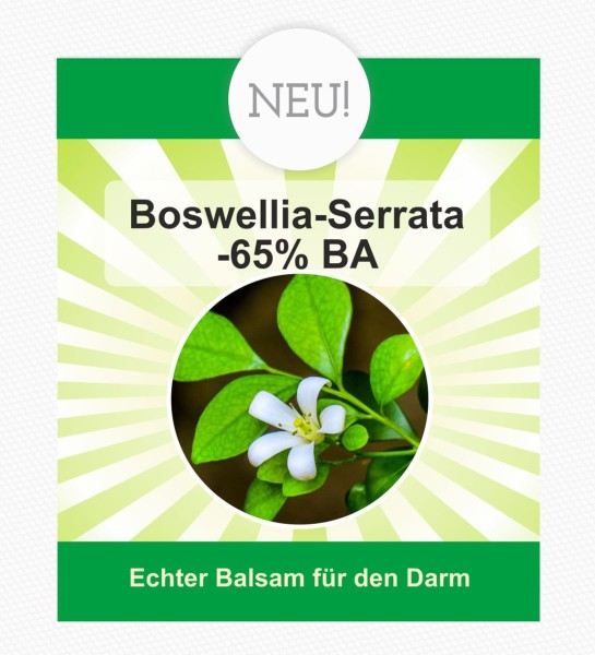 Boswellia-Serrata-65% BA