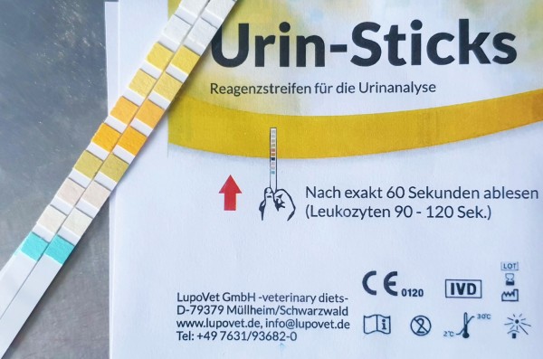 Urin-Sticks