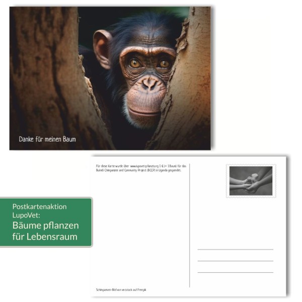 LupoVet Postkarte Lebensraum für Schimpansen