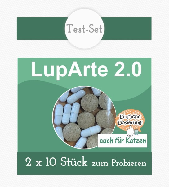 LupArte2.0 Test-Set
